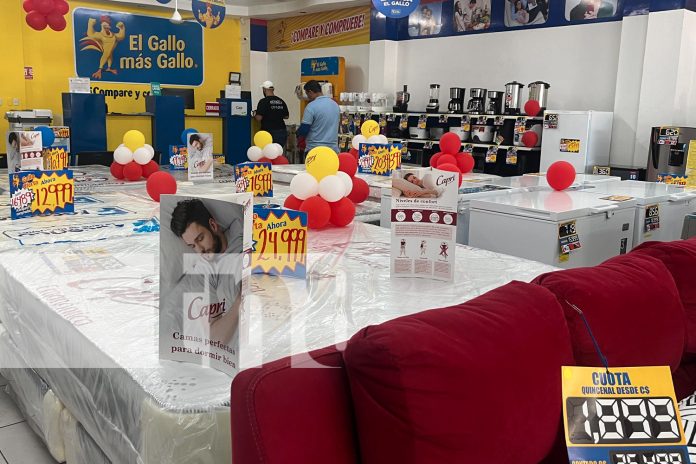 Foto: El Gallo Más Gallo tiene nueva campaña “LG Days”/TN8