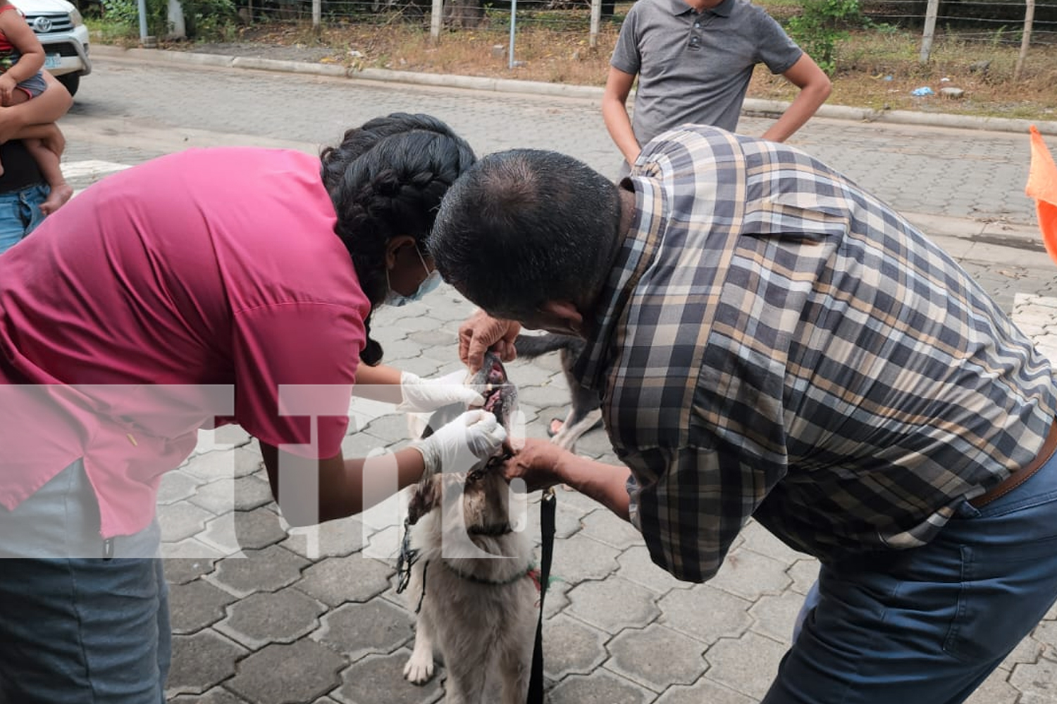 Foto: Éxito en la Feria de Salud Animal organizada por el Sistema Penitenciario de León/TN8