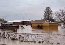 Foto: Inundaciones récord en Nuevo México /cortesía