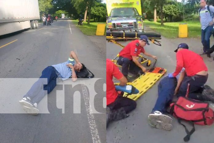 Foto: Atropellado y abandonado en Rivas /TN8