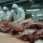 Foto: Impresionante producción y exportación de carne en Nicaragua / Cortesía