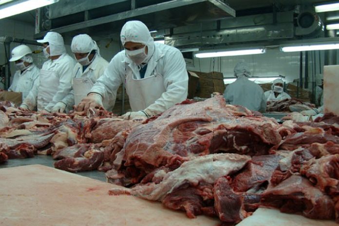 Foto: Impresionante producción y exportación de carne en Nicaragua / Cortesía