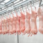 Foto: Impulsando la Producción de Carne Porcina en Nicaragua/ Cortesía