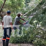 Foto: fuertes vientos que azotan el departamento de Rivas/TN8