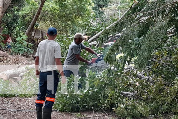 Foto: fuertes vientos que azotan el departamento de Rivas/TN8