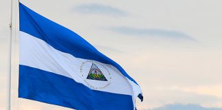 Foto: Nicaragua celebra la victoria de Sueño Georgiano en las elecciones / Cortesía