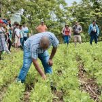 Foto: INTA llevó a cabo el 28 de octubre una presentación sobre alternativas biológicas/Cortesía