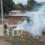 Foto: Nueva Segovia con 148 brigadas para combatir el dengue, eliminando los criaderos de zancudos y proteger nuestras comunidades/TN8