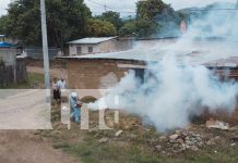 Foto: Nueva Segovia con 148 brigadas para combatir el dengue, eliminando los criaderos de zancudos y proteger nuestras comunidades/TN8