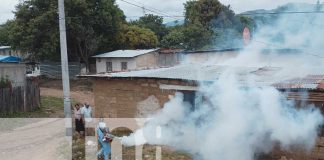 Foto: Nueva Segovia con 148 brigadas para combatir el dengue, eliminando los criaderos de zancudos y proteger nuestras comunidades/TN8