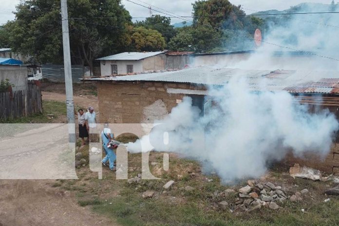 Foto: Nueva Segovia con 148 brigadas para combatir el dengue, eliminando los criaderos de zancudos y proteger nuestras comunidades/TN8