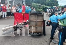 Foto: A tan solo 3 cuadras de llegar a su vivienda en el barrio La Primavera, la señora Marileth Ruiz Rocha, resultó con un trauma craneal/TN8