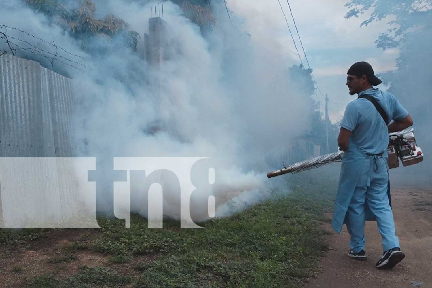 Foto: Nueva Segovia con 148 brigadas para combatir el dengue, eliminando los criaderos de zancudos y proteger nuestras comunidades/TN8