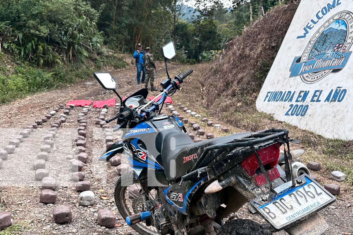 Foto;Ejército de Nicaragua sigue en pie de lucha contra el narcotráfico: incautan 386 paquetes de marihuana en Jalapa/TN8