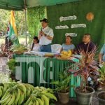 Foto: El gobierno de Nicaragua lanza un curso para fortalecer la producción de plátano en Ometepe, una gran oportunidad para 1,500 productores/TN8