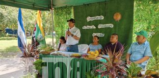 Foto: El gobierno de Nicaragua lanza un curso para fortalecer la producción de plátano en Ometepe, una gran oportunidad para 1,500 productores/TN8