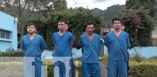 Foto:La Policía Nacional incautó 35 libras de marihuana y arrestó a varios delincuentes de alta peligrosidad en Jinotega/TN8