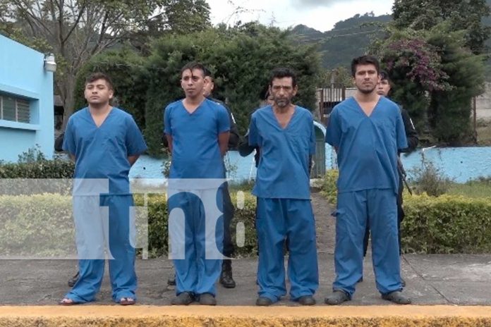 Foto:La Policía Nacional incautó 35 libras de marihuana y arrestó a varios delincuentes de alta peligrosidad en Jinotega/TN8