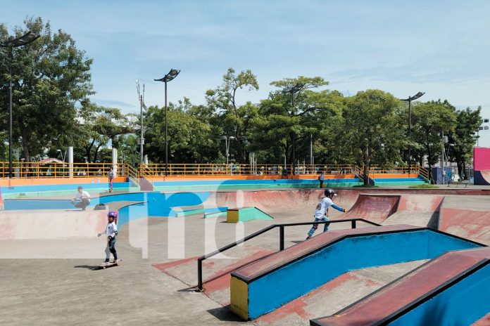 Foto: semifinal de la disciplina de Skateboarding en los juegos juveniles/TN8