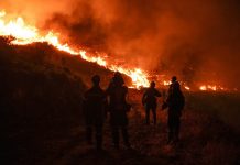 Foto: Incendios en Grecia continúan fuera de control /Cortesía