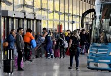 Foto: Transporte sin reglas en Argentina /cortesía