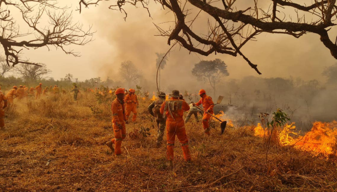 Foto: Incendios forestales en Bolivia devastan 9,8 millones de hectáreas