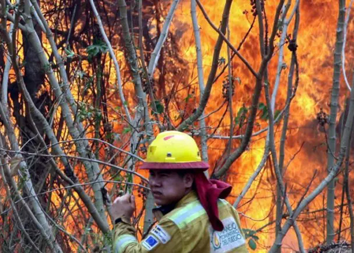 Foto: Desastre ambiental en Bolivia /cortesía