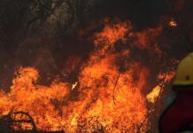 Foto: Emergencia en Bolivia /cortesía