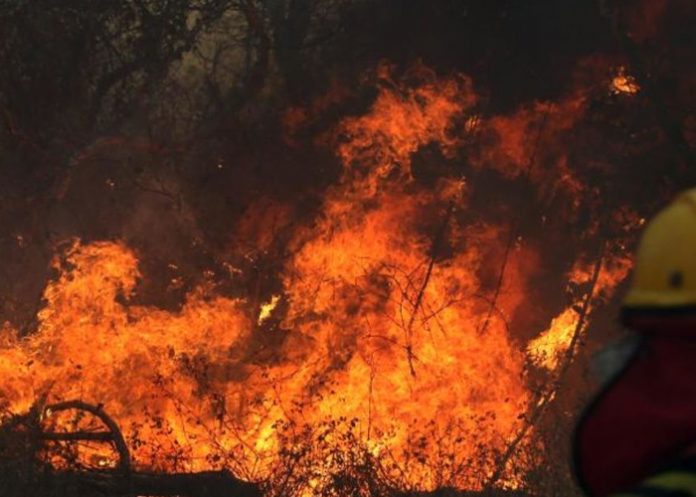 Foto: Emergencia en Bolivia /cortesía