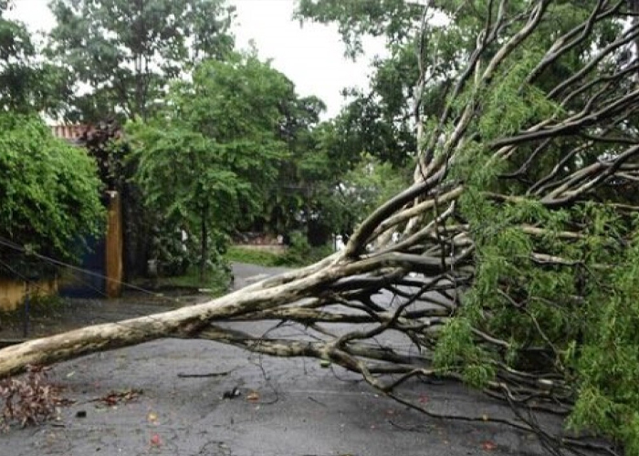 Foto: Lluvias en Brasil /cortesía 