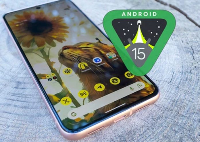 Foto: Android 15 ha comenzado oficialmente su despliegue/Cortesía