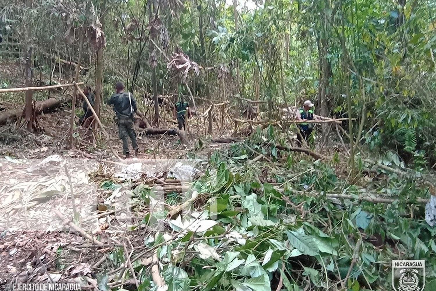 Foto. Ejercito detienen a cuatro por daños al medio ambiente en Bosawás, Siuna/ TN8