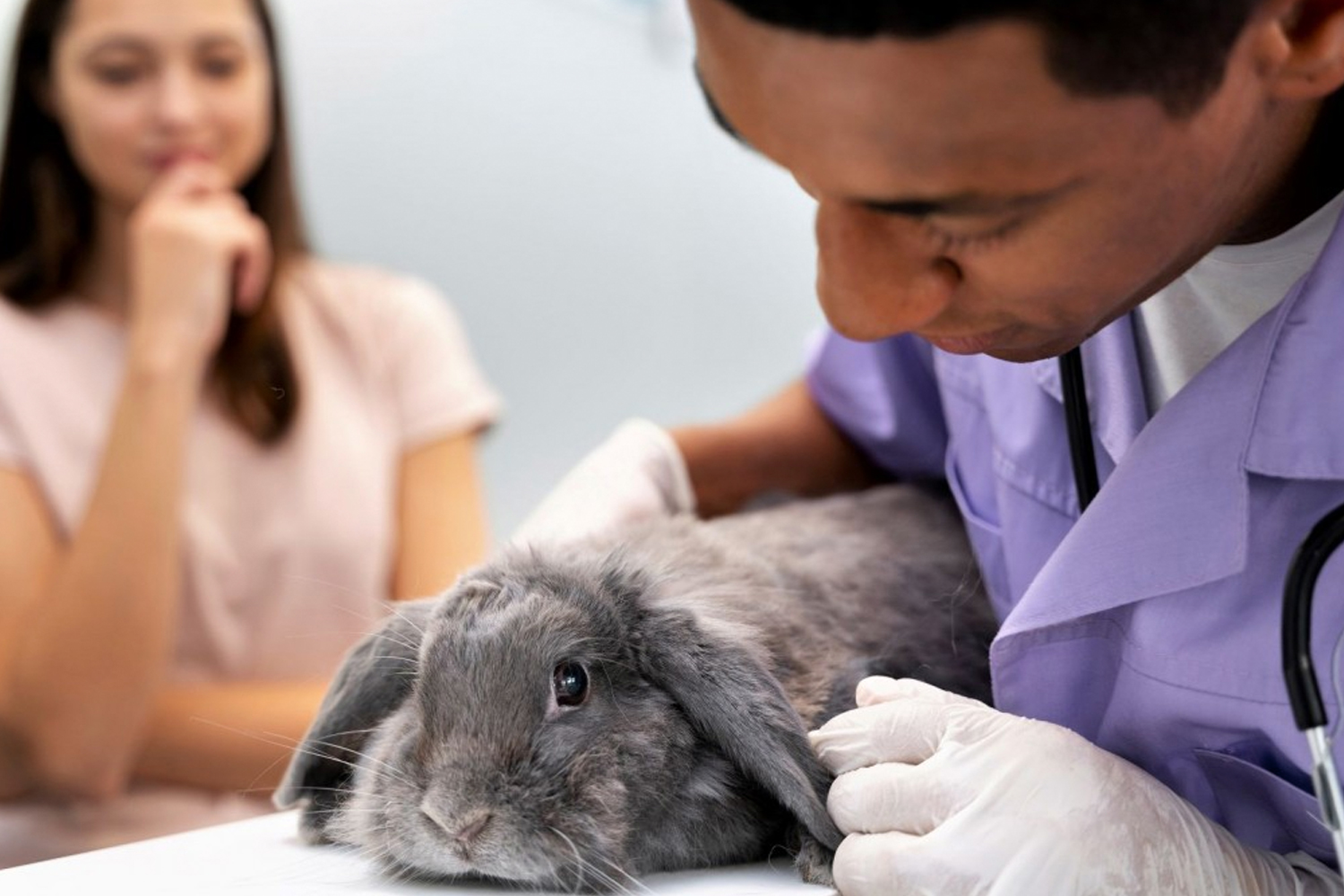 Foto: Niño ingresa a veterinaria y mata a más de 20 animales /Cortesía