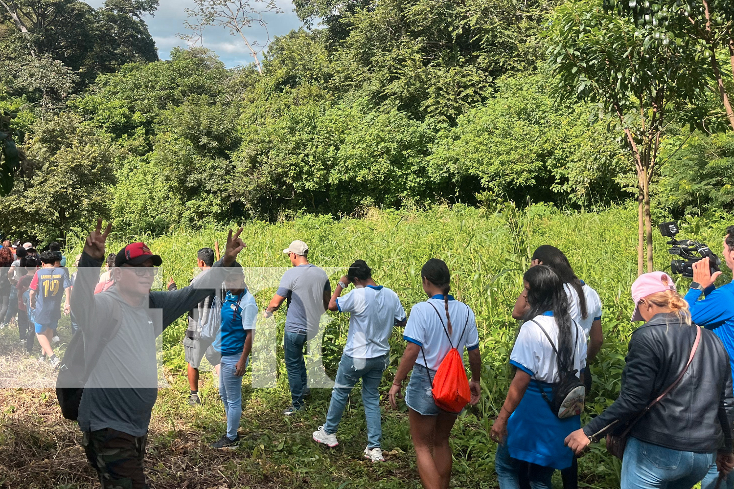 Foto: Jornada de reforestación en la finca Las Uvas, ubicada en El Crucero/TN8