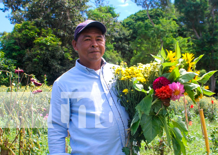 Foto: variedades de flores se encargan de adornar los campos santos/TN8