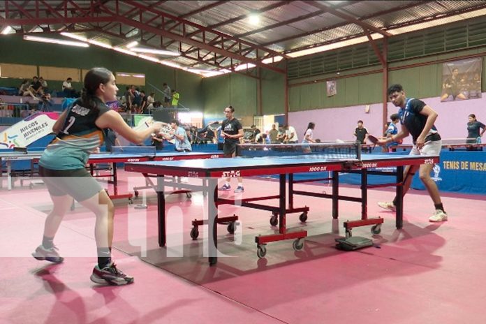 Foto: Alcaldía de Managua (ALMA) llevará a cabo el Campeonato de Tenis de Mesa/TN8