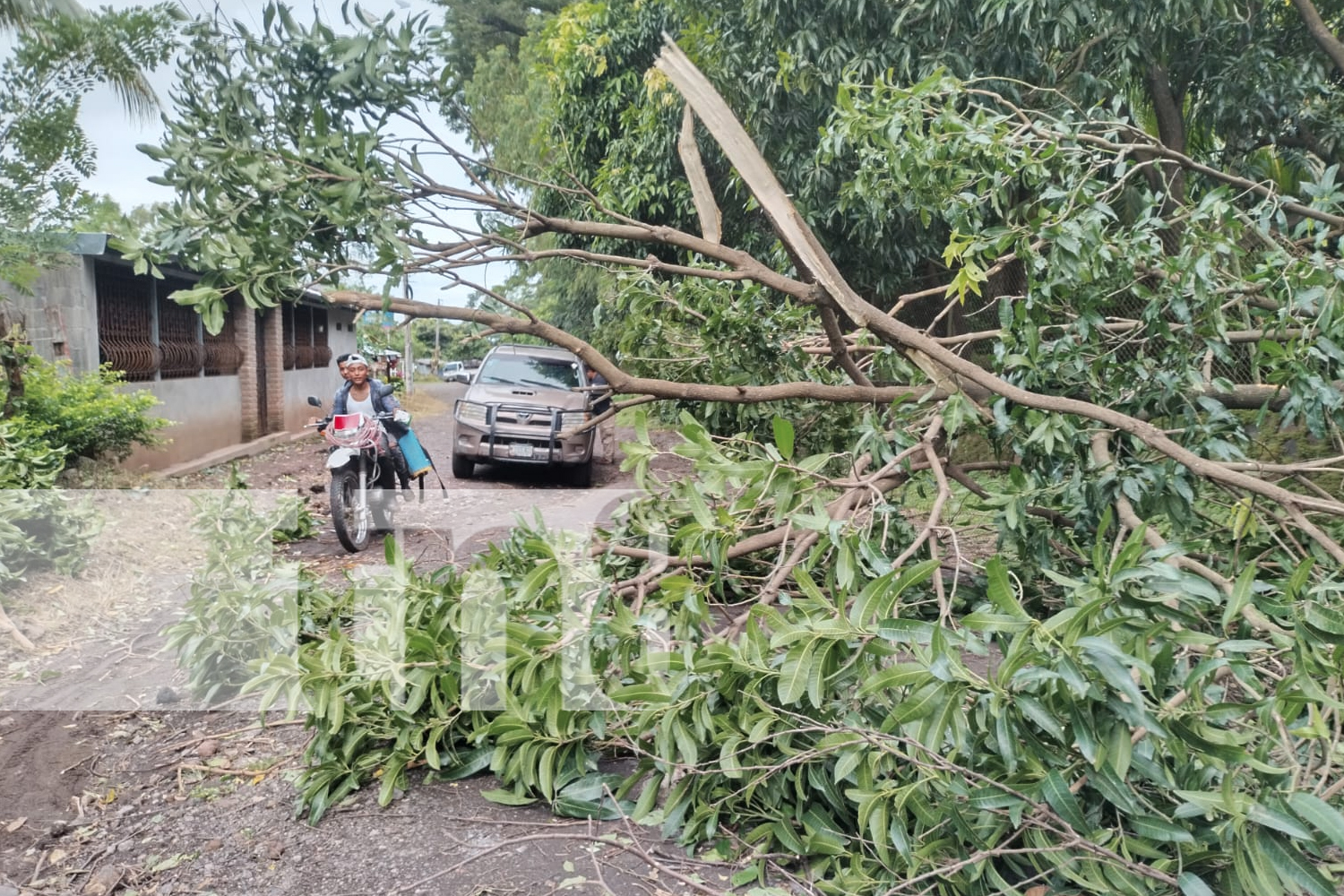 Foto: intensas lluvias durante la madrugada en la Isla de Ometepe/TN8