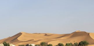 Foto: Lluvias en el desierto del Sáhara generan un resurgimiento