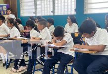 Foto: Teleclases, oportunidad de explorar distintos géneros literarios /TN8