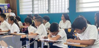 Foto: Teleclases, oportunidad de explorar distintos géneros literarios /TN8