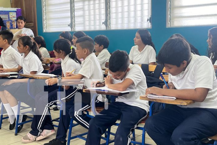 Foto: Teleclases, oportunidad de explorar distintos géneros literarios /TN8