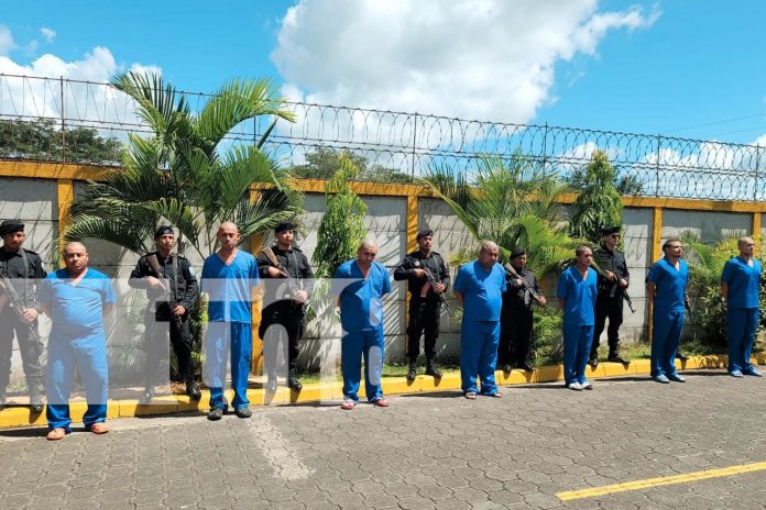 Foto: Operativos en Nicaragua: Policía Nacional logra la captura de varios sujetos por delitos de robo y violencia /TN8