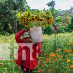 Foto: variedades de flores se encargan de adornar los campos santos/TN8