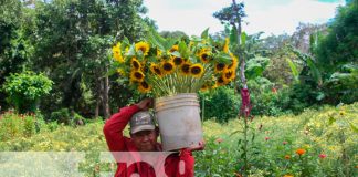 Foto: variedades de flores se encargan de adornar los campos santos/TN8