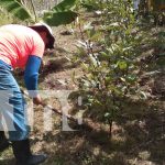 Foto: Mujeres de Nandaime implementan agricultura orgánica sin químicos/ TN8