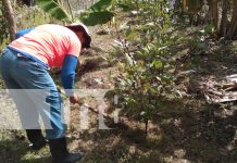 Foto: Mujeres de Nandaime implementan agricultura orgánica sin químicos/ TN8