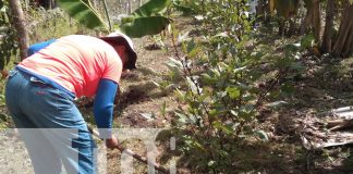 Foto: Mujeres de Nandaime implementan agricultura orgánica sin químicos/ TN8