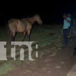 Foto: Motociclista con severos golpes al impactar contra un equino en La Libertad, Chontales/TN8