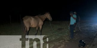 Foto: Motociclista con severos golpes al impactar contra un equino en La Libertad, Chontales/TN8