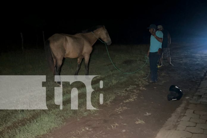 Foto: Motociclista con severos golpes al impactar contra un equino en La Libertad, Chontales/TN8